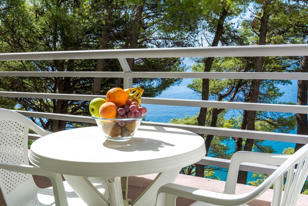 Sagitta All Inclusive Light 로고즈니차 객실 사진